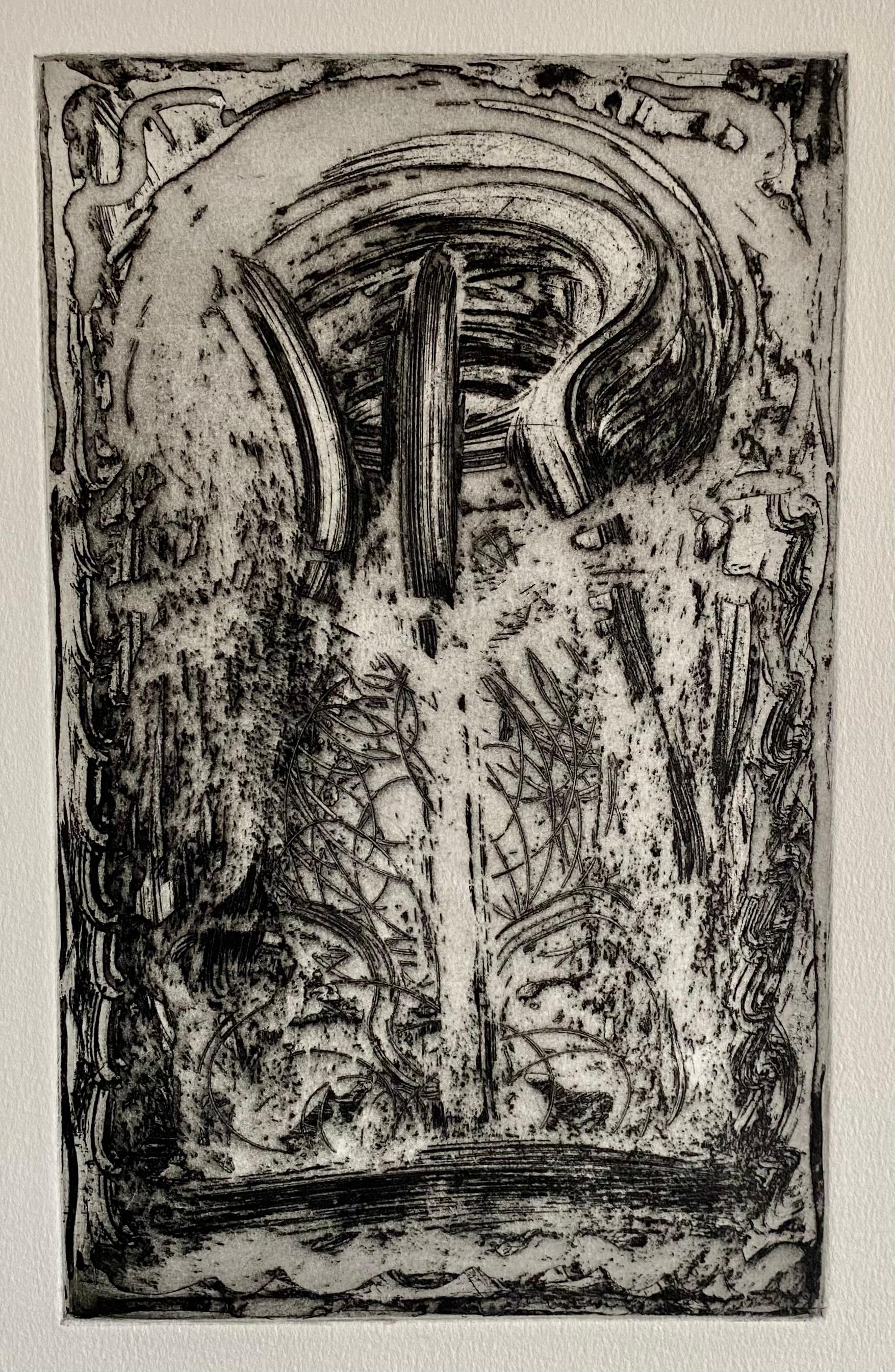 Artista expresionista abstracta estadounidense Melissa Meyer Aguafuerte al aguatinta en venta 3