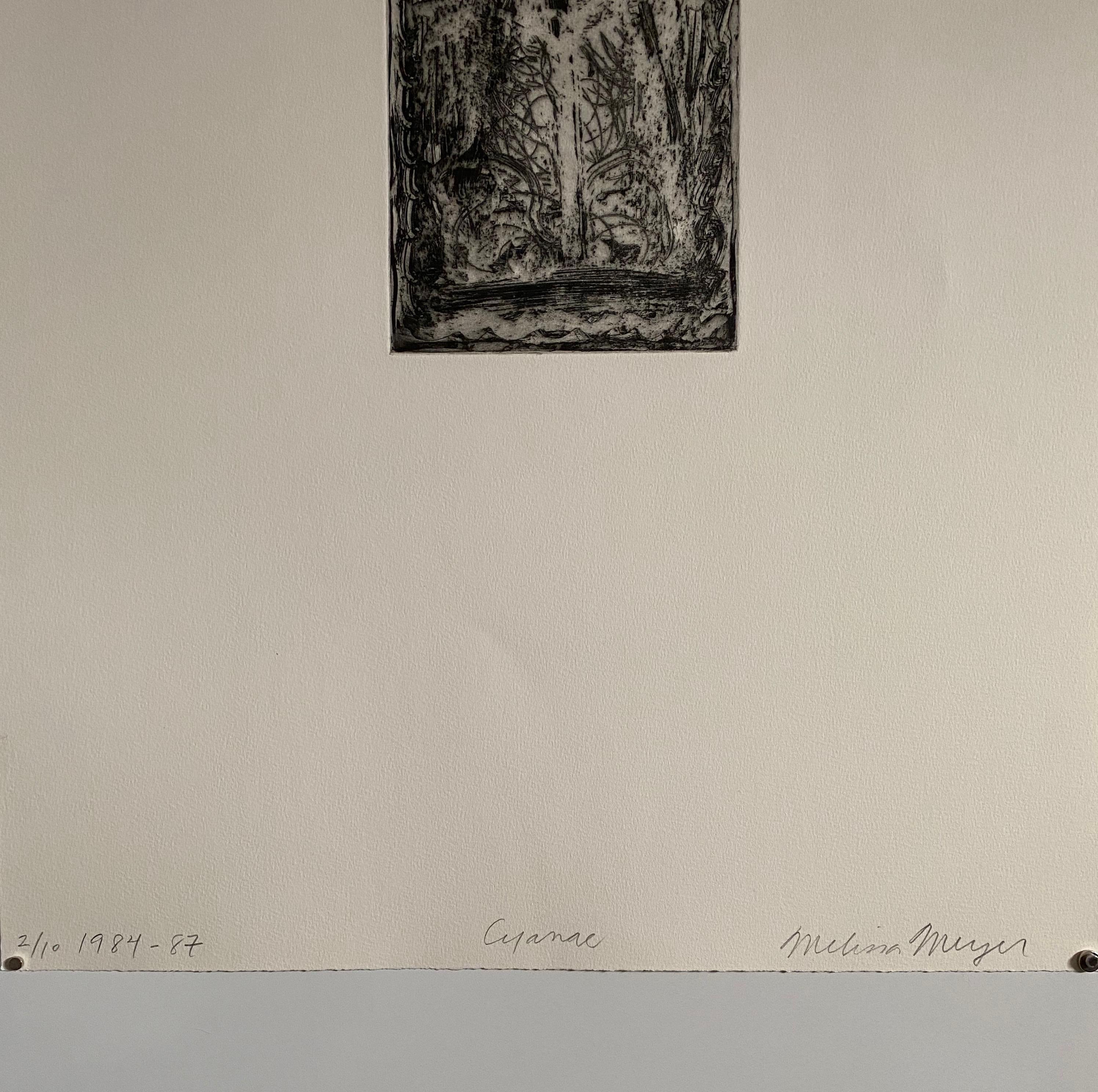 Artista expresionista abstracta estadounidense Melissa Meyer Aguafuerte al aguatinta en venta 4