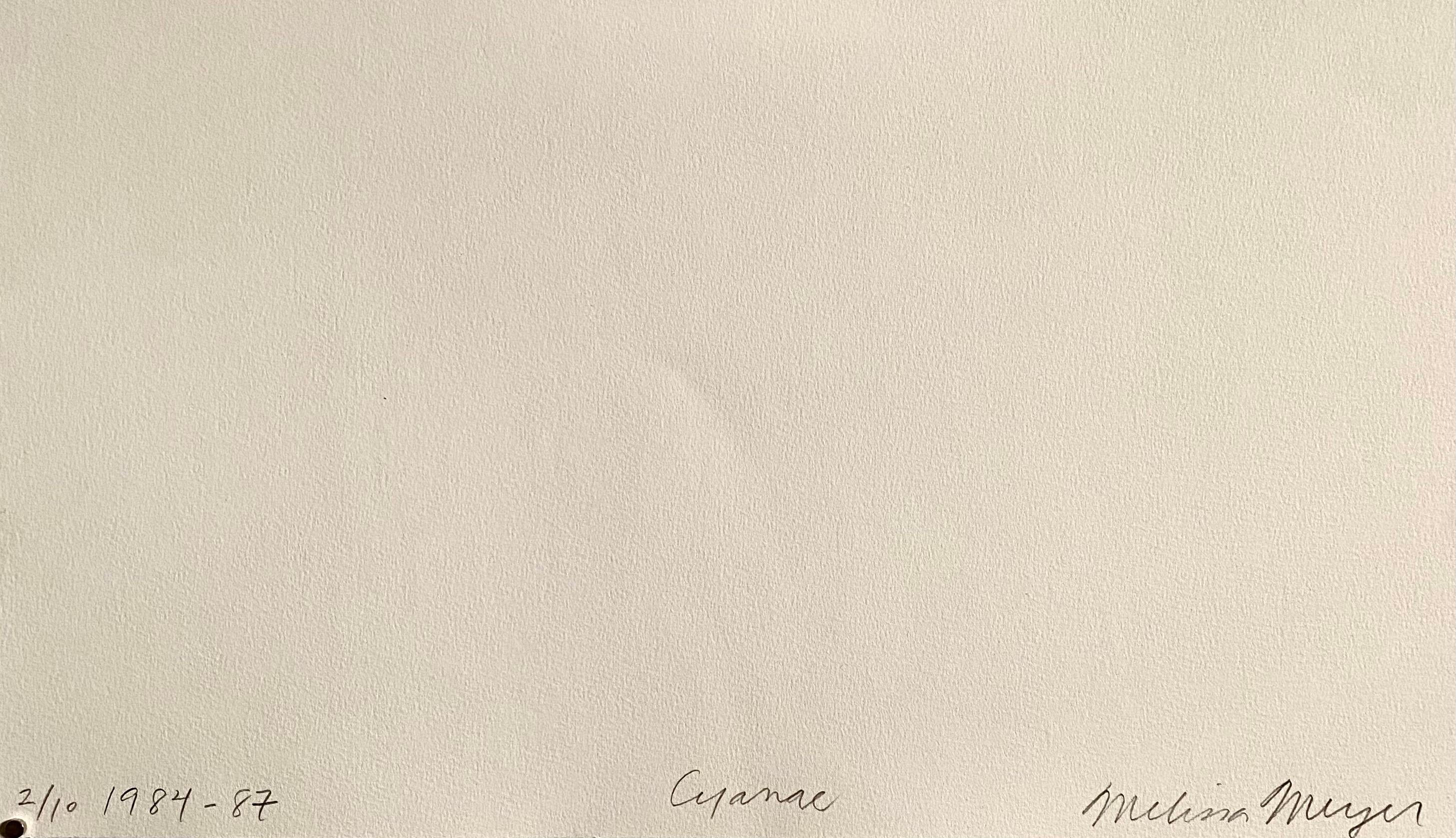 Artista expresionista abstracta estadounidense Melissa Meyer Aguafuerte al aguatinta en venta 5