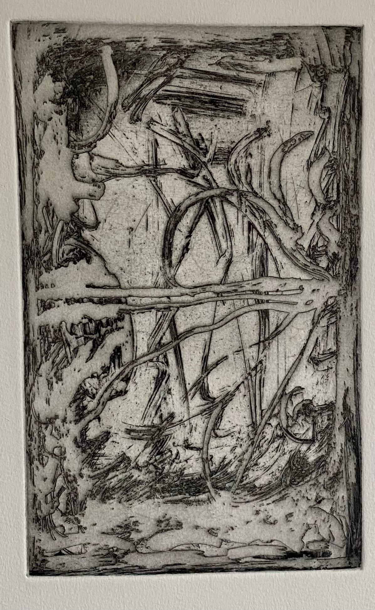 Melissa Meyer (americana, nata nel 1946)
1984-1987, incisione all'acquatinta in nero su carta vergata, stampa firmata a mano, datata e numerata da una piccola edizione di 10 esemplari.
Senza cornice. Dimensioni: 9,75'' x 6'', 25 x 15 cm (lastra);