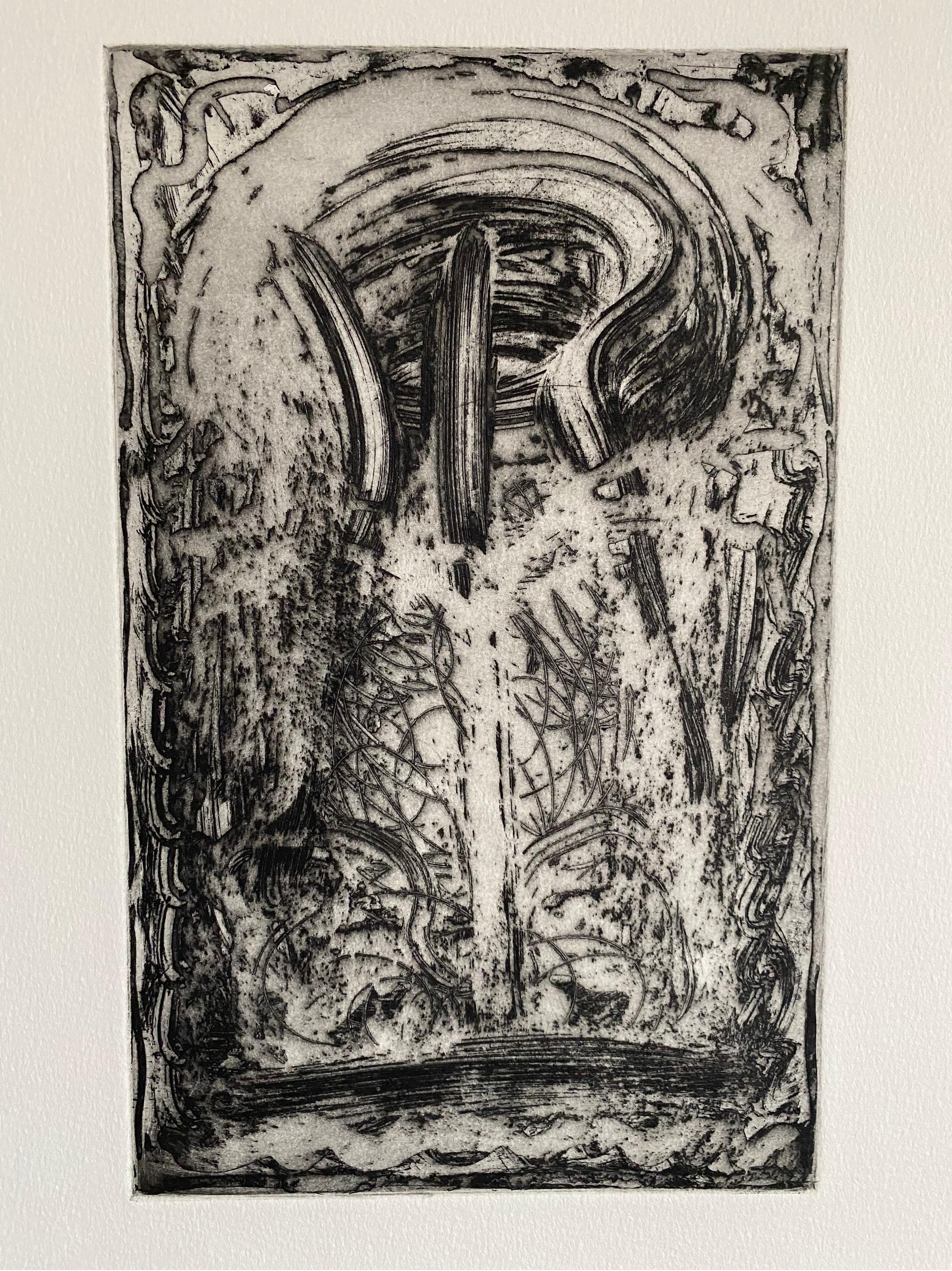 Melissa Meyer (estadounidense, nacida en 1946)
1984-1987, aguafuerte en negro sobre papel tejido, impresión firmada a mano, fechada y numerada de una pequeña edición de 10 ejemplares.
Sin enmarcar. Tamaño: 9,75'' x 6'', 25 x 15 cm (lámina); 27'' x