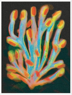 Melissa Santamaria, Seaworms, 4 Color Risograph Print