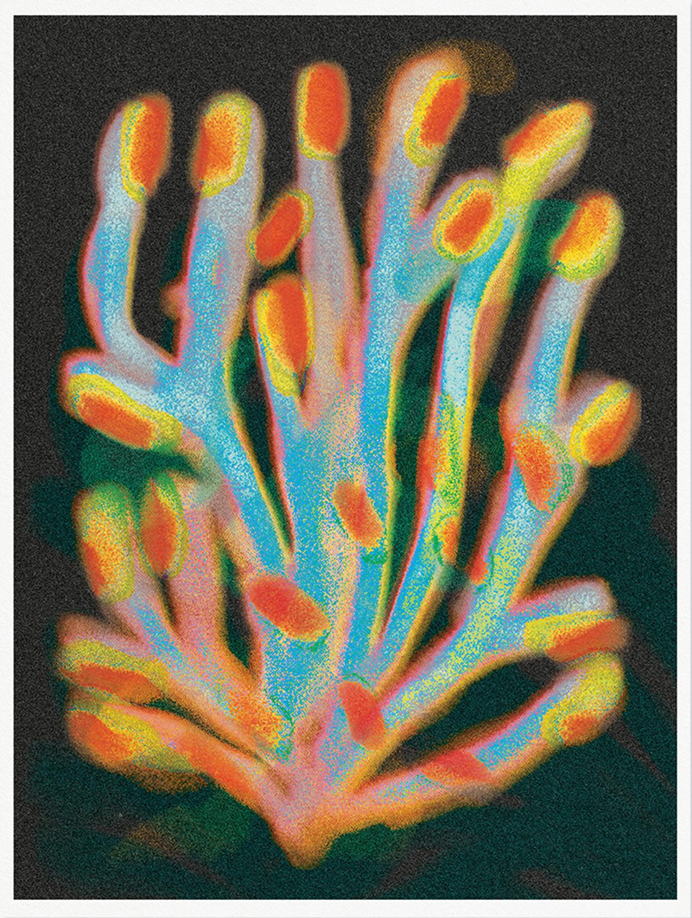 4 color riso prints by Melissa Santamaria.
11 x 14.5 in
27.9 x 36.7 cm
Edition of 60.