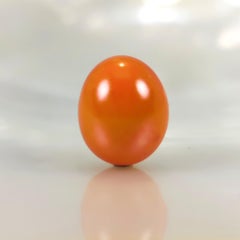 Melo Melo Natural Pearl Oval 12.03 Carats