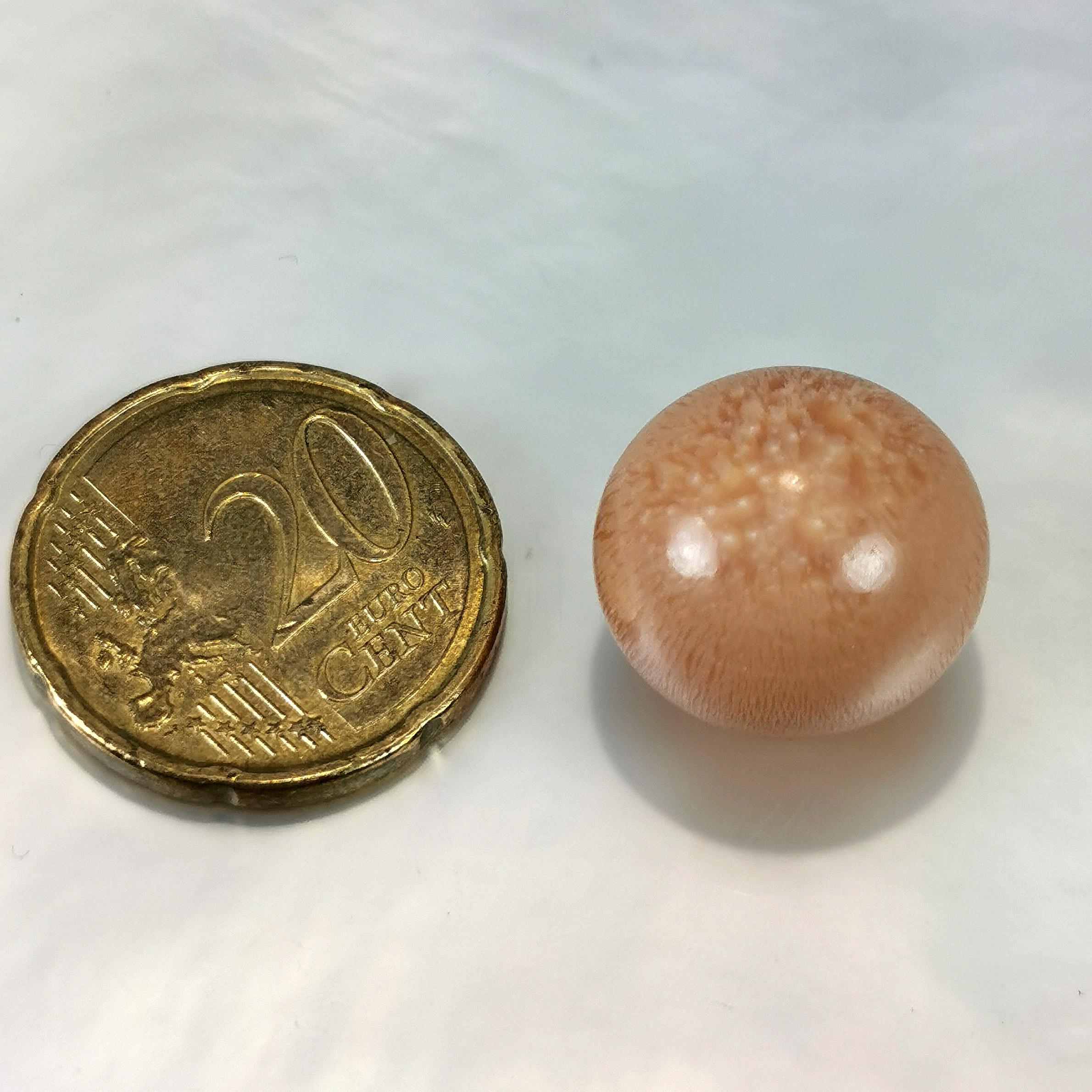 Art Nouveau Melo Melo Natural Pearl Round 32.5 Carats For Sale