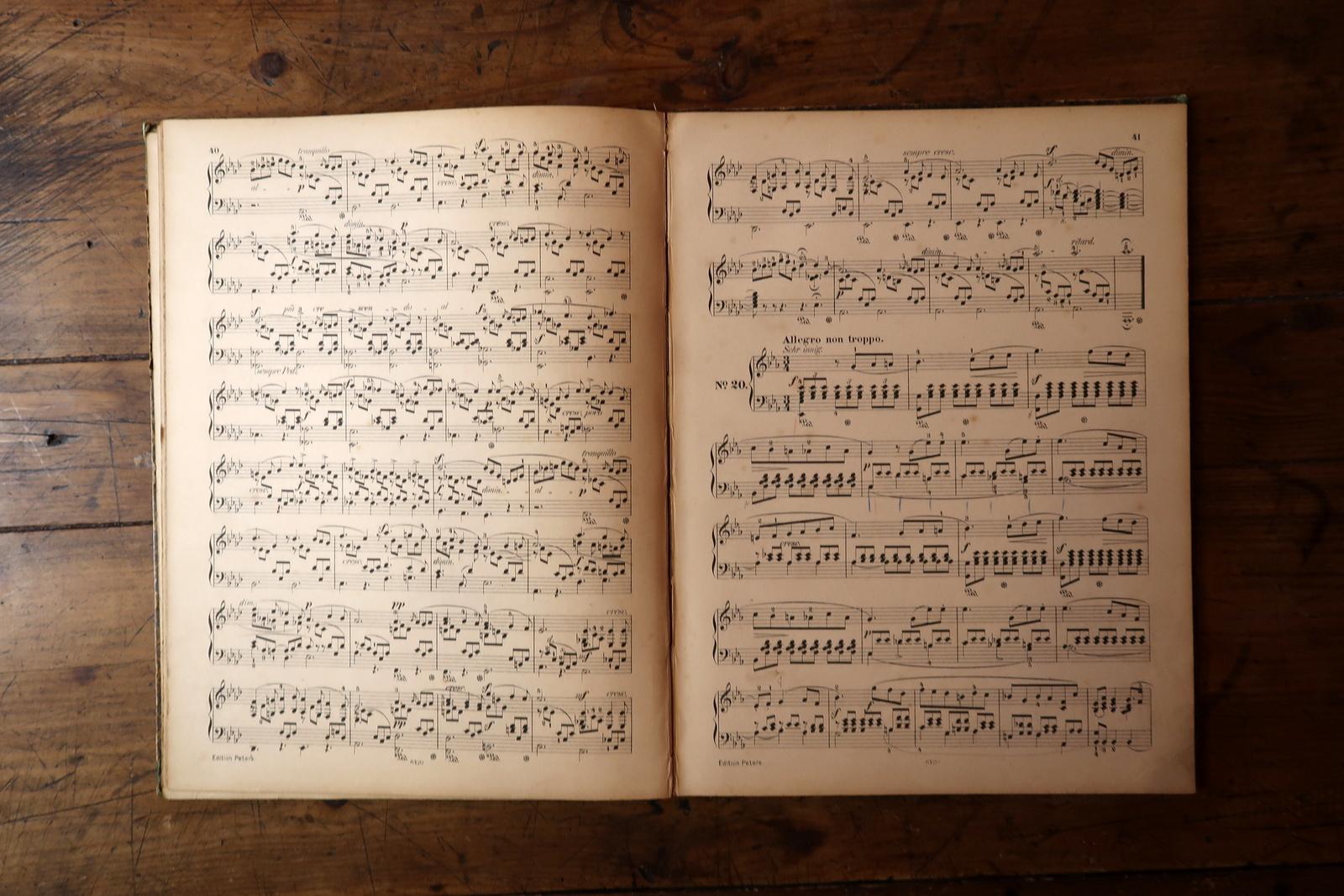 Melodic Elegance: Antikes deutsches Bleistift-Musikbuch – frühes 20. Jahrhundert, 2C06 im Angebot 6