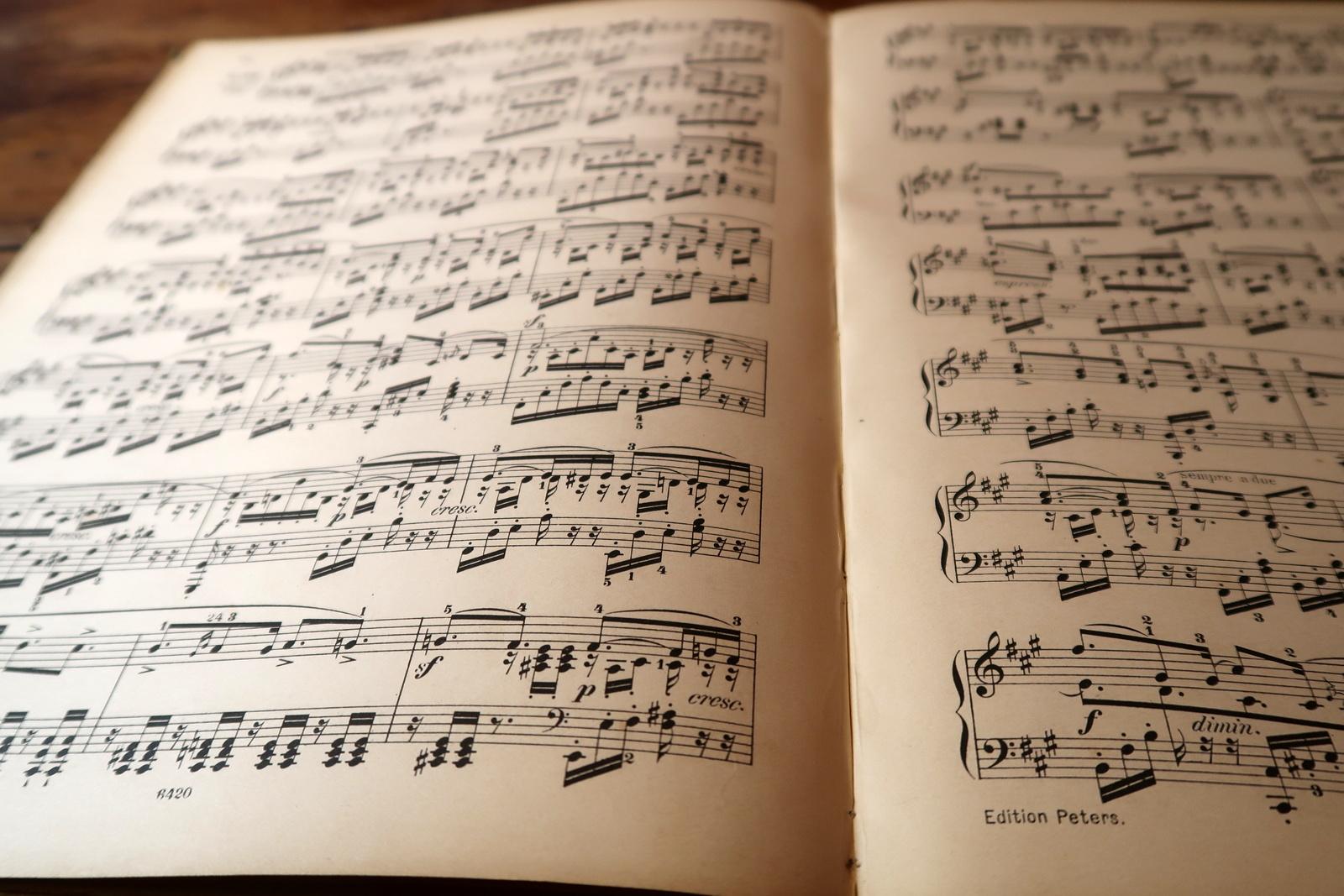Melodic Elegance: Antikes deutsches Bleistift-Musikbuch – frühes 20. Jahrhundert, 2C06 im Angebot 7