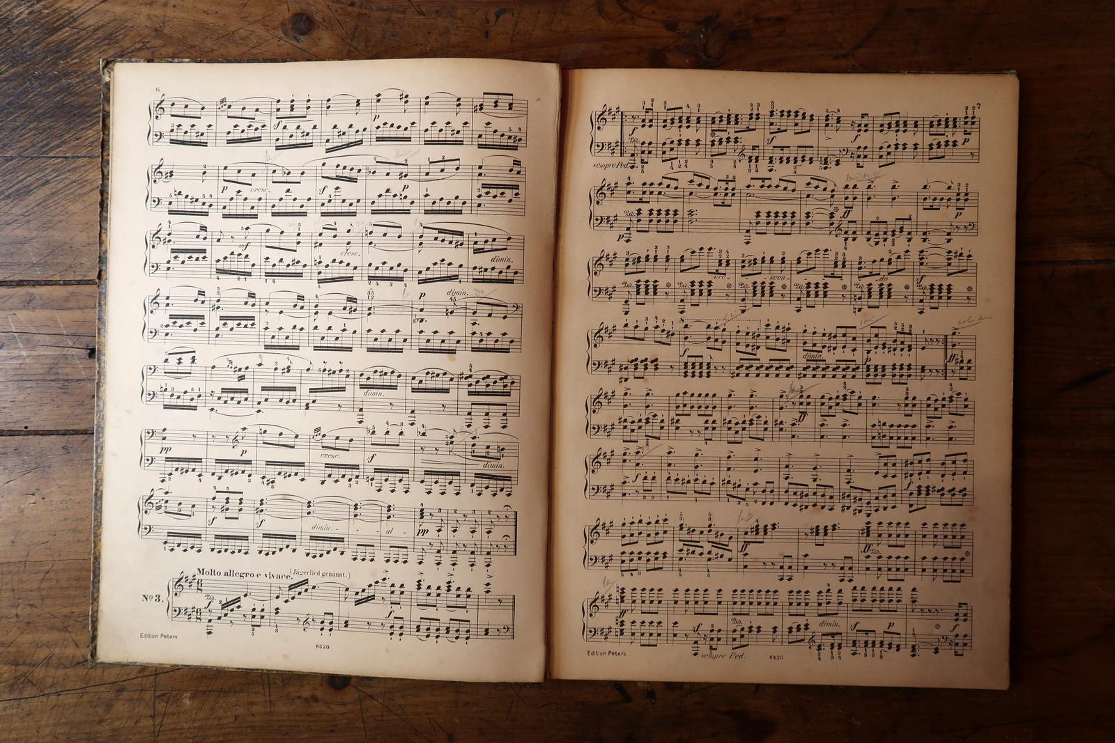 Melodic Elegance: Antikes deutsches Bleistift-Musikbuch – frühes 20. Jahrhundert, 2C06 im Angebot 5