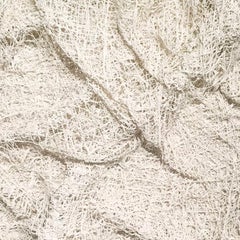 Silvestres Series N.6