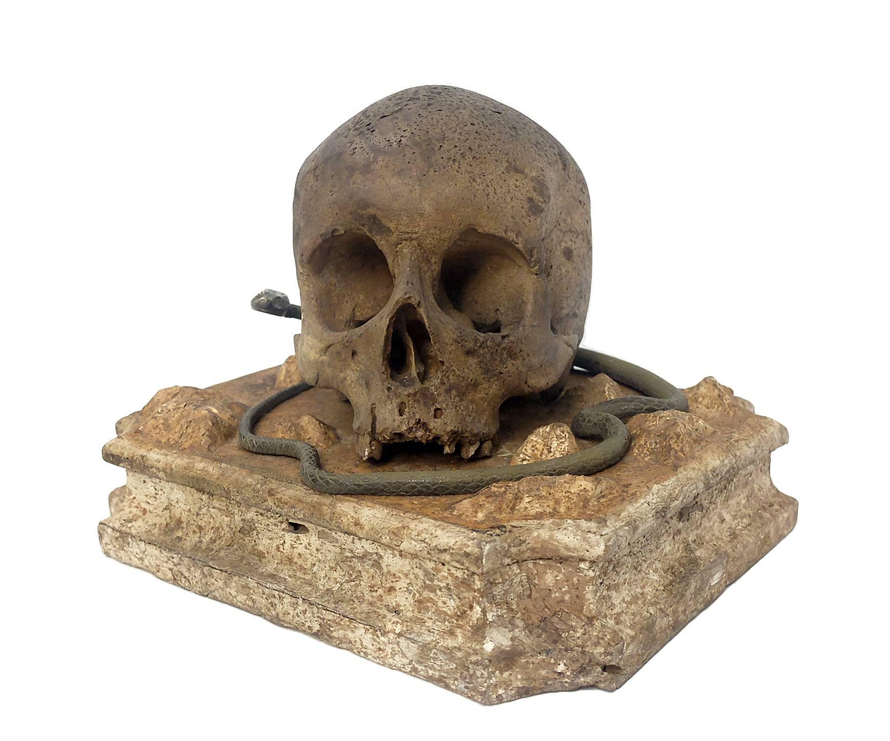 Painted plaster skull over a wooden painted base emulating marble. The skull is surrounded by a bronze snake. Excellent Memento Mori, Italy, circa 1880.