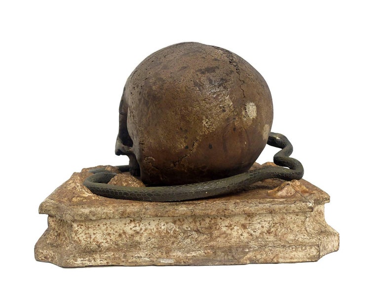 Memento Mori, a Skull Sculpture Out of Chalk, with a Bronze Snake ...