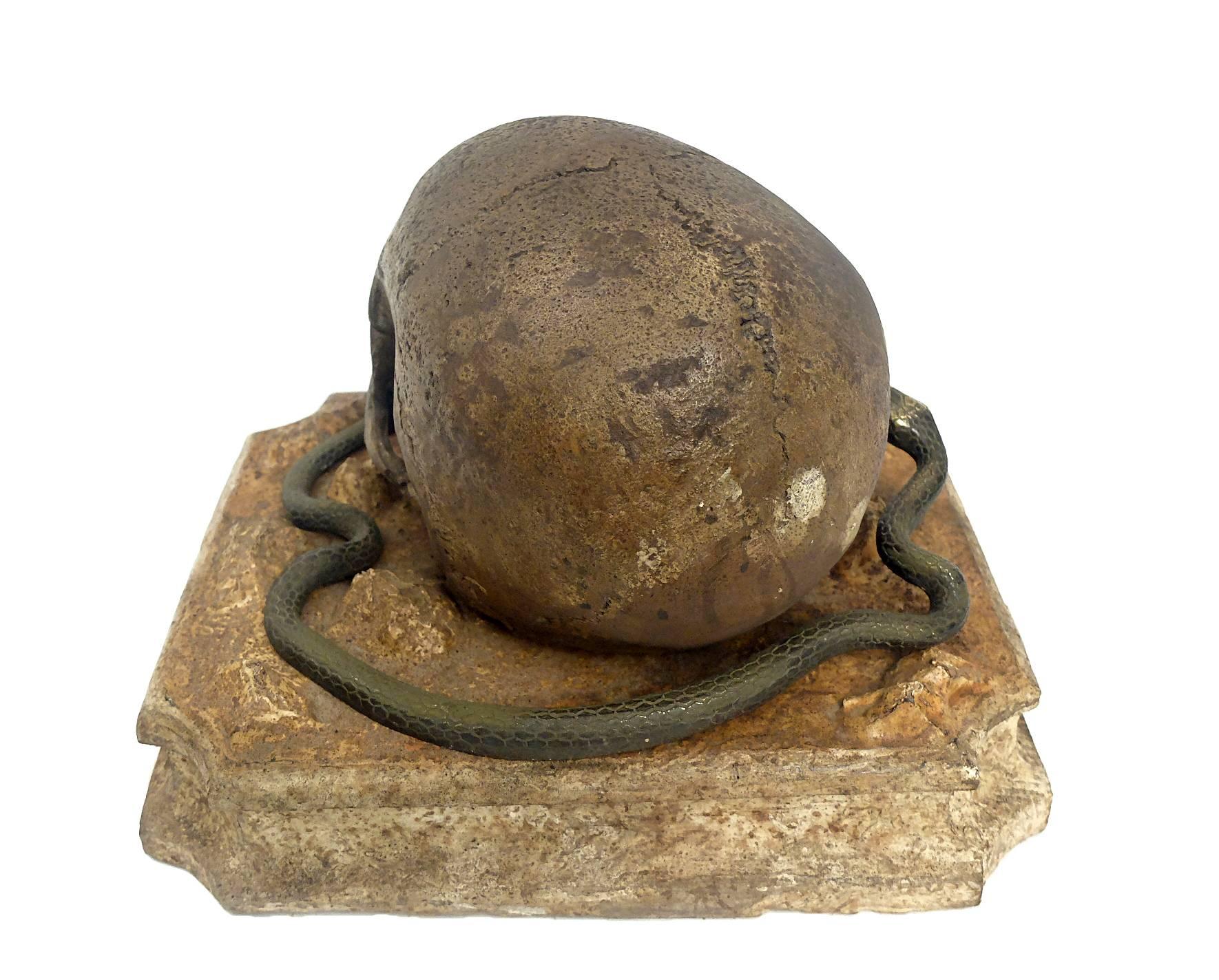 Memento Mori, a Skull Sculpture Out of Chalk, with a Bronze Snake, Italy In Excellent Condition In Milan, IT