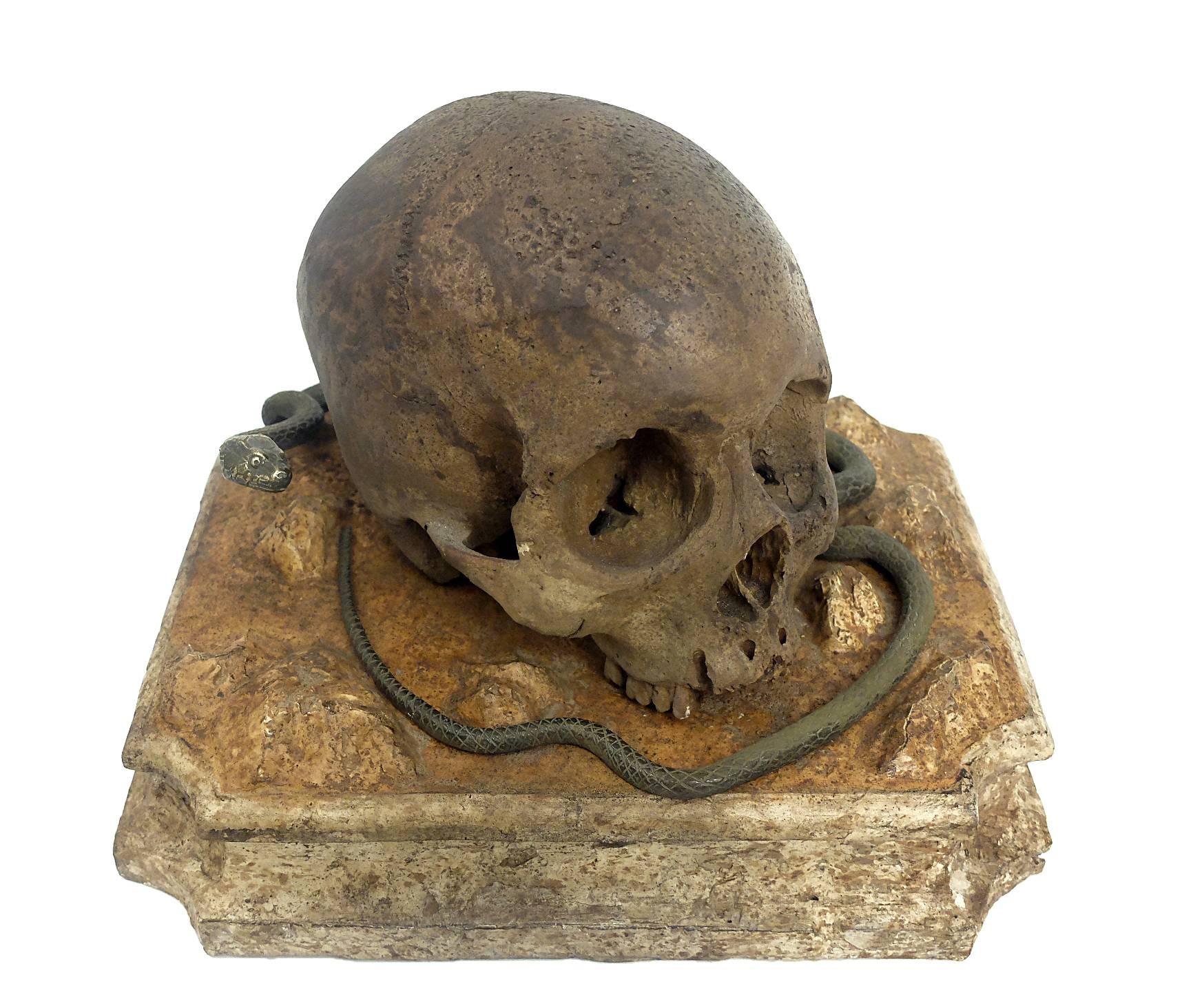 Memento Mori, a Skull Sculpture Out of Chalk, with a Bronze Snake, Italy 1