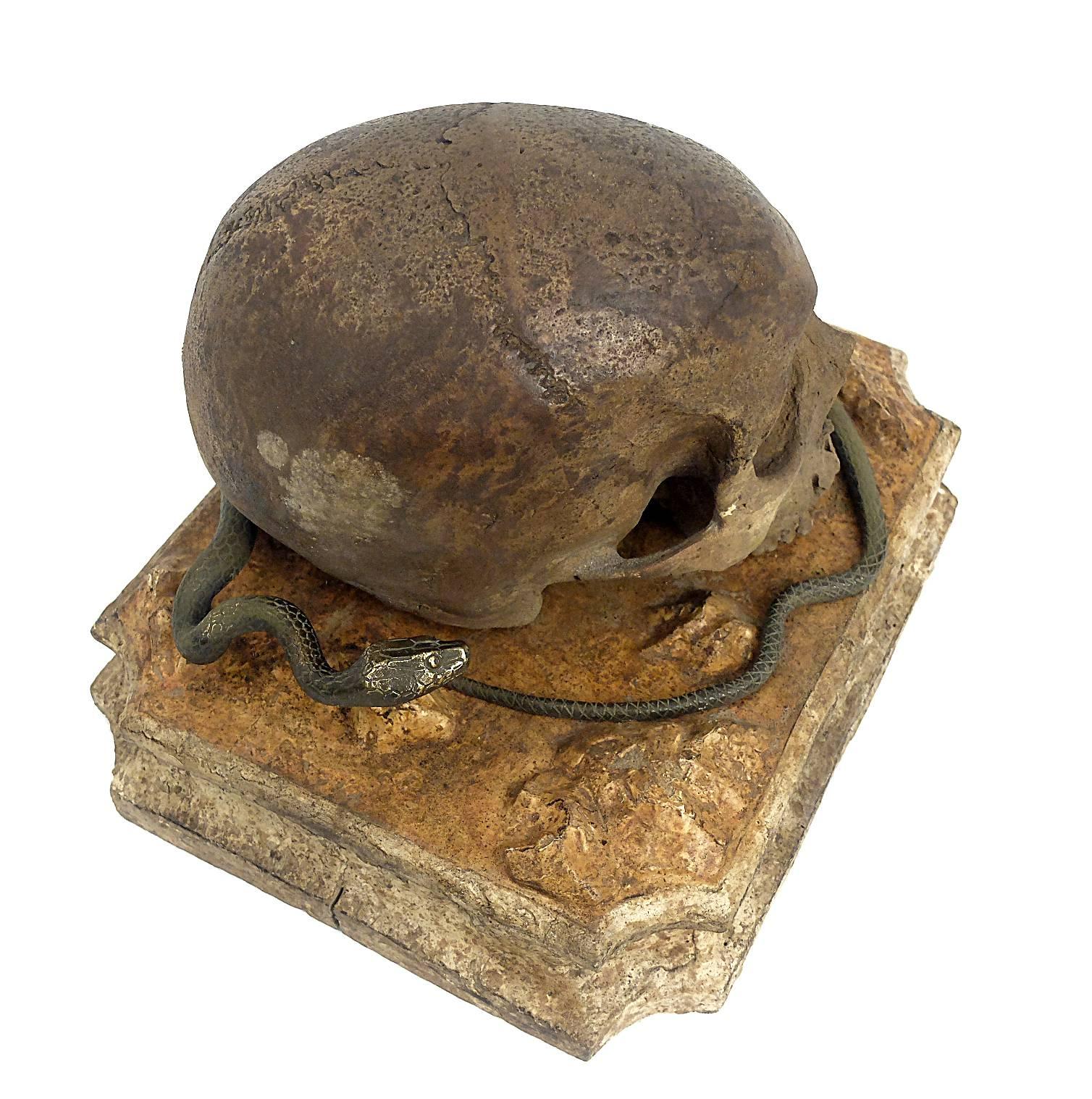 Memento Mori, a Skull Sculpture Out of Chalk, with a Bronze Snake, Italy 2