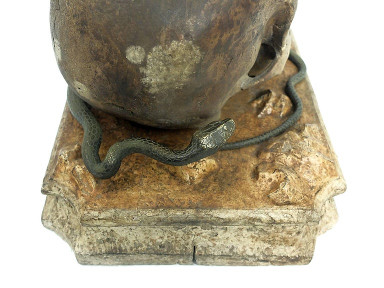 Memento Mori, a Skull Sculpture Out of Chalk, with a Bronze Snake ...