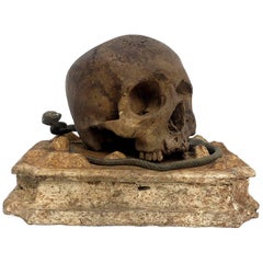 Memento Mori, a Skull Sculpture Out of Chalk, with a Bronze Snake, Italy