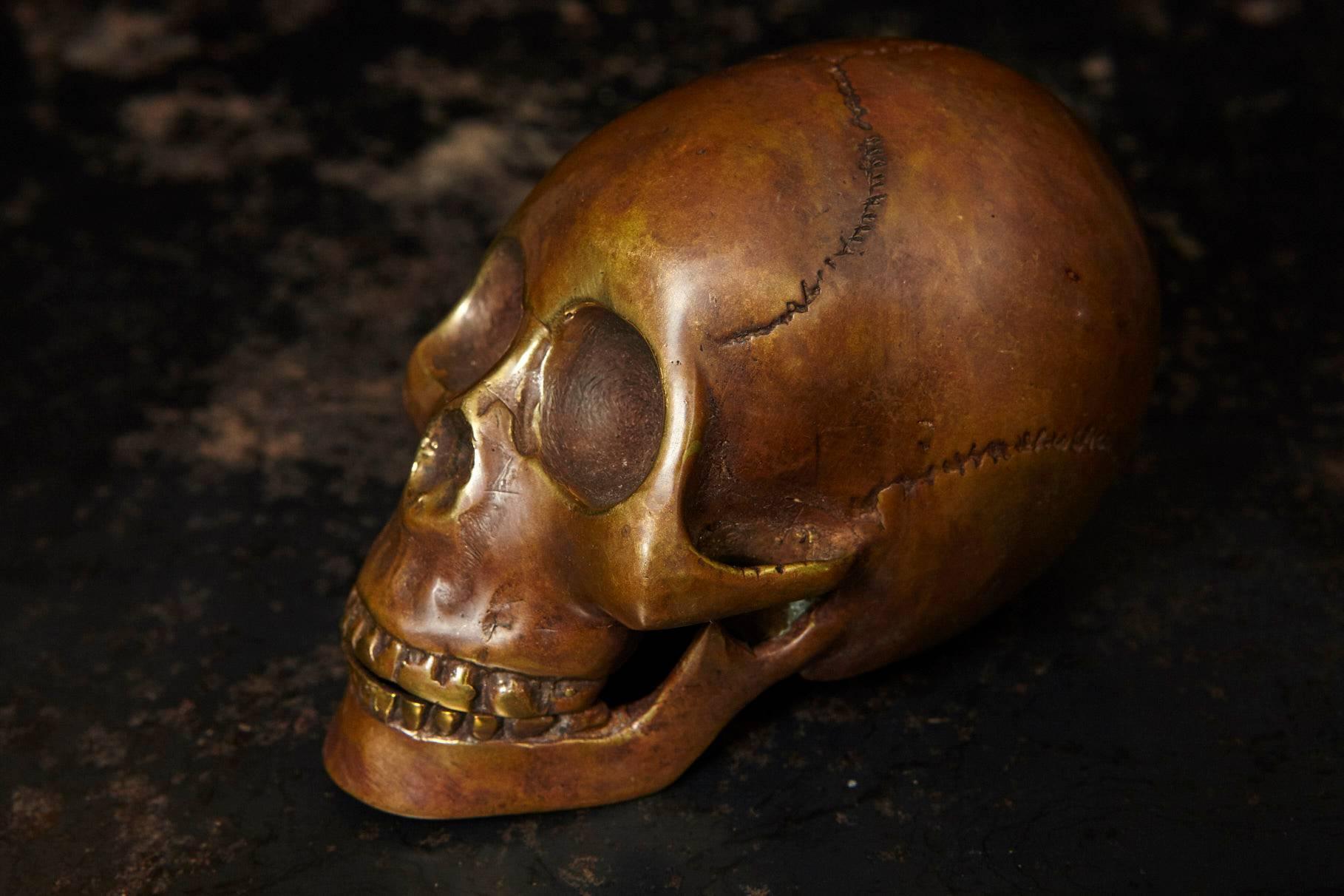 Beautiful detailed bronze cast of a human skull. Can serve as table statue on a metal stand or as a paper weight.
 