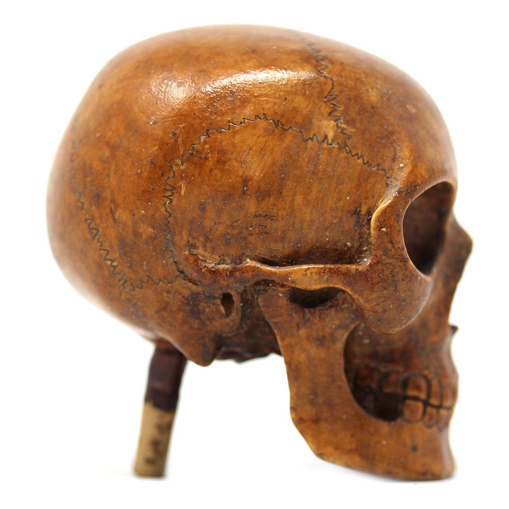 German Memento Mori Carved Skull  For Sale 4