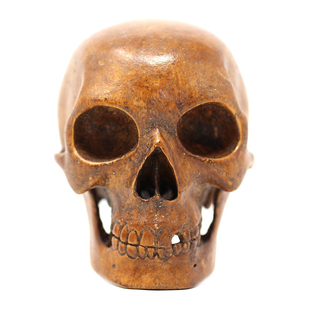 German Memento Mori Carved Skull  For Sale 6