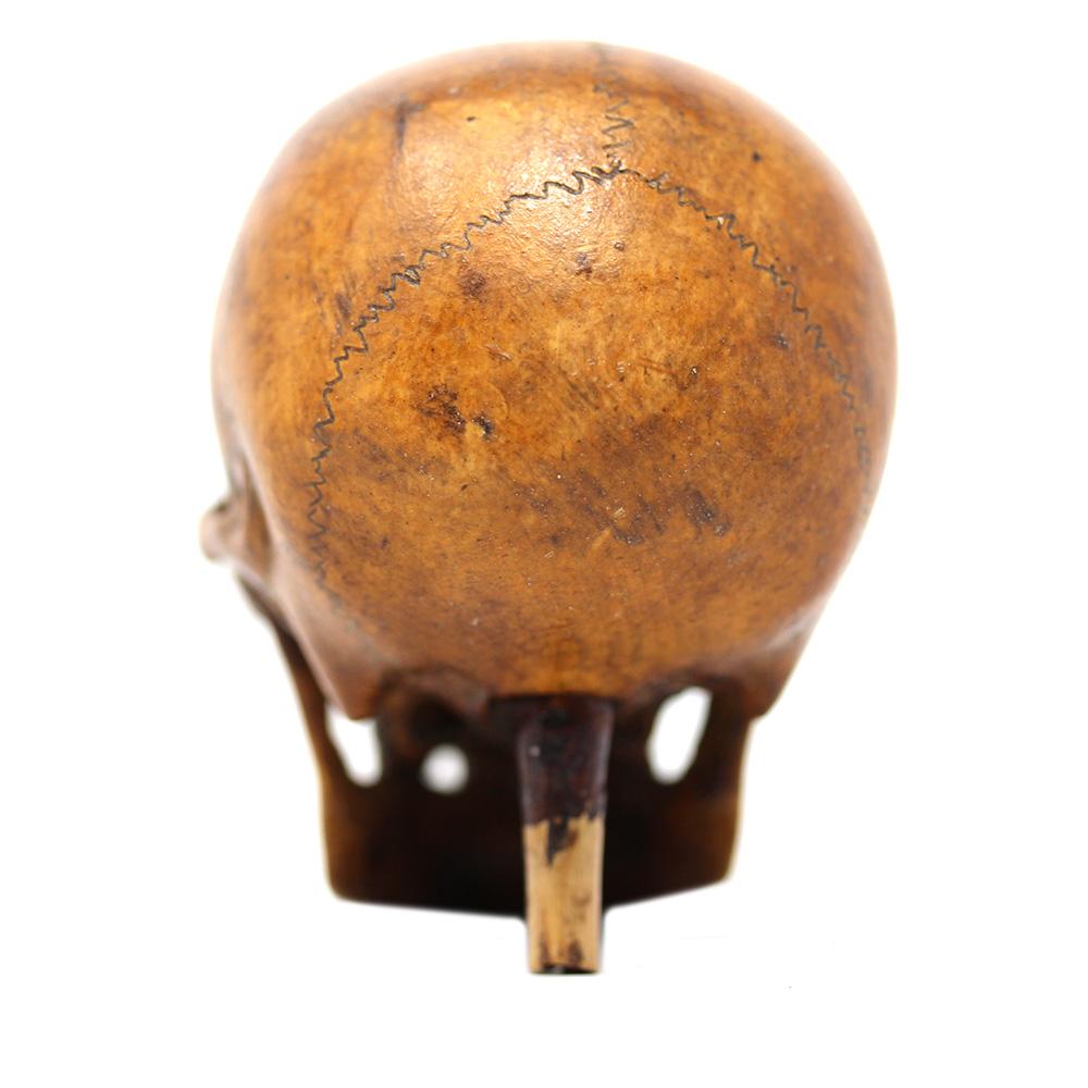 German Memento Mori Carved Skull  For Sale 7