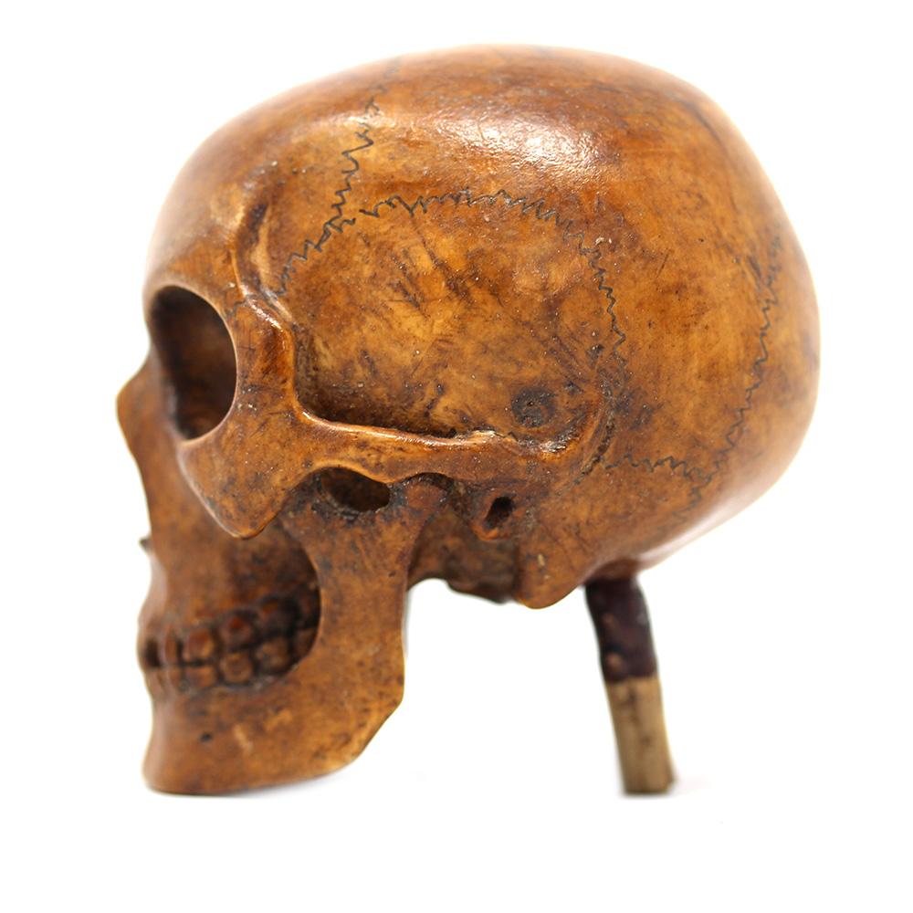 German Memento Mori Carved Skull  For Sale 9