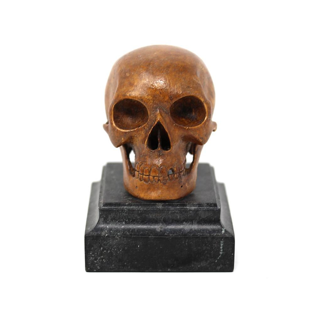 Crâne Memento Mori ancien du 18e siècle en bois fruitier sculpté. Le crâne pétrifié est puissamment sculpté sous la forme d'un crâne humain comprenant le crâne, les mâchoires supérieure et inférieure, le visage cadavérique avec une dent manquante