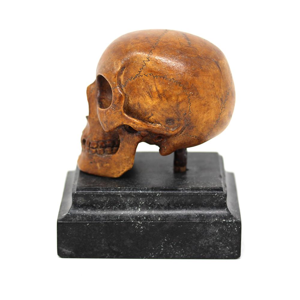 Gothic German Memento Mori Carved Skull  For Sale