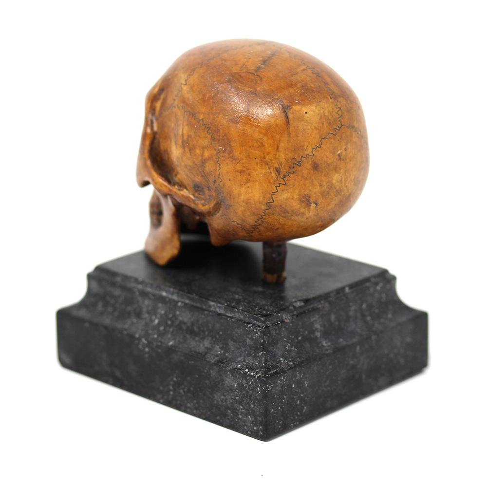 German Memento Mori Carved Skull  In Good Condition For Sale In Newark, England