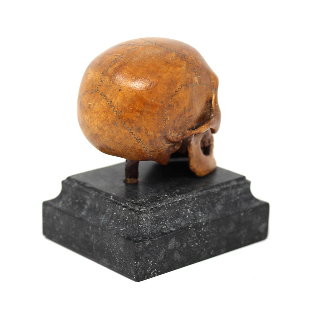 Marble German Memento Mori Carved Skull  For Sale