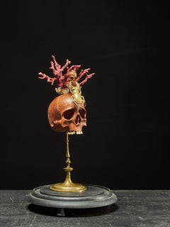 Memento Mori Composition of Two Wooden Skulls, a Stag beetle and a Red Coral Bra