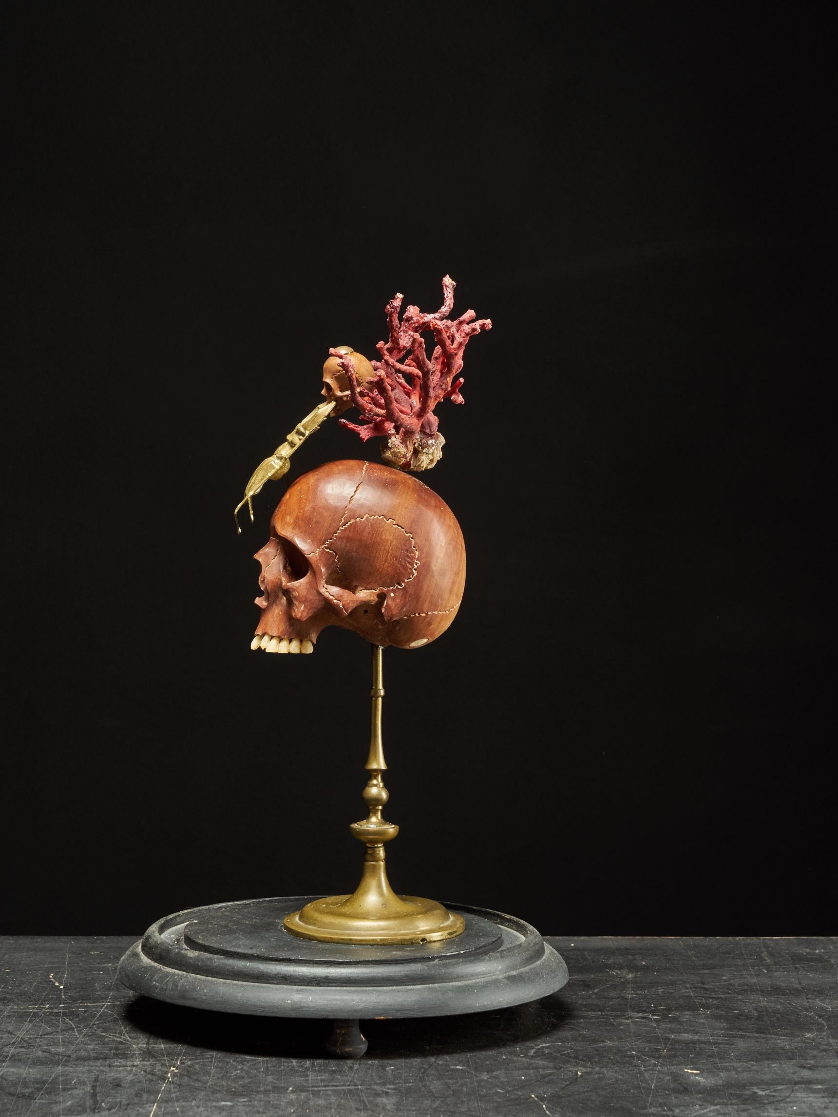 XXI secolo e contemporaneo Memento Mori Composizione di due teschi di legno, uno scarabeo cervo e un reggiseno di corallo rosso in vendita