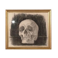 Memento Mori Dessins originaux de crânes au fusain Art du 19e siècle
