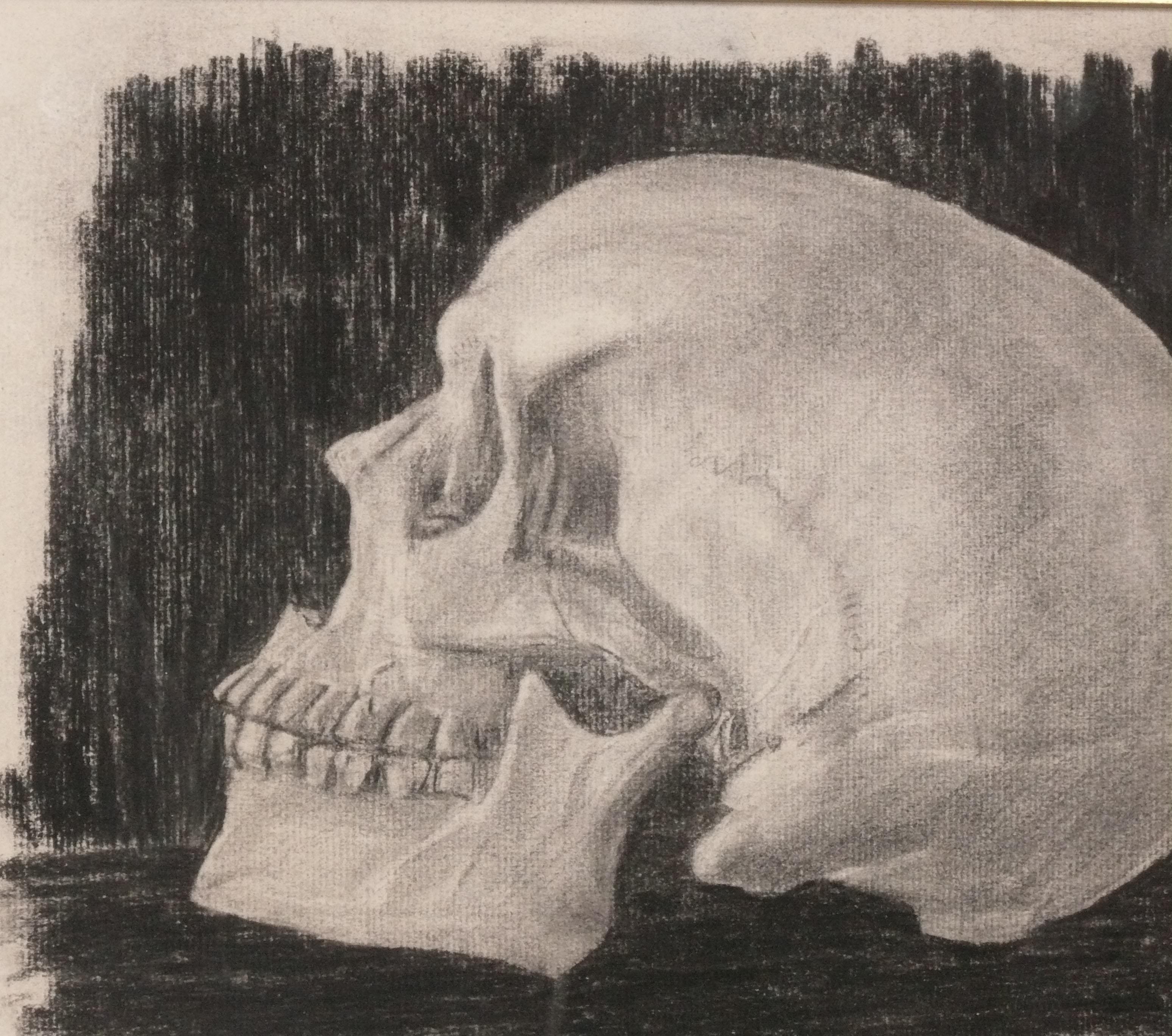 Verre Memento Mori Dessins originaux de crânes au fusain Art du 19e siècle en vente