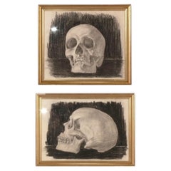 Antique Memento Mori Original Charcoal Skull Drawings 19th Century Art