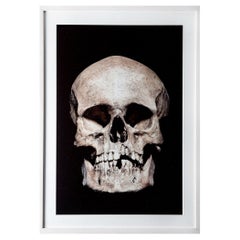 „Memento Mori“, Fotodruck, Claudio Bader, 2016