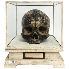 Memento Mori Plaster Sculpture, Italy, circa 1800