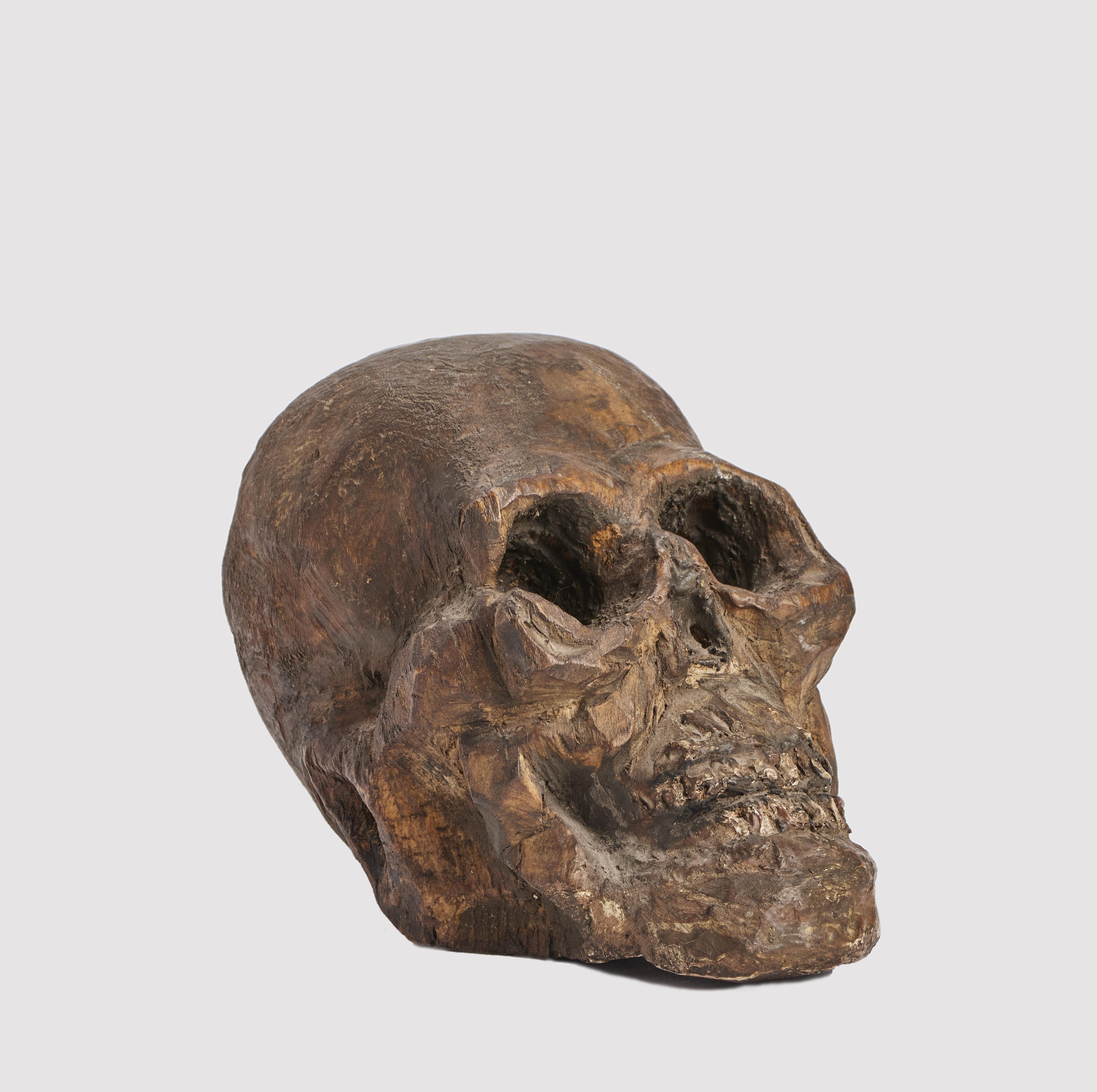 Wunderkammer Memento Mori-Skulptur, die einen geschnitzten Holzschädel darstellt. Italien um 1700.