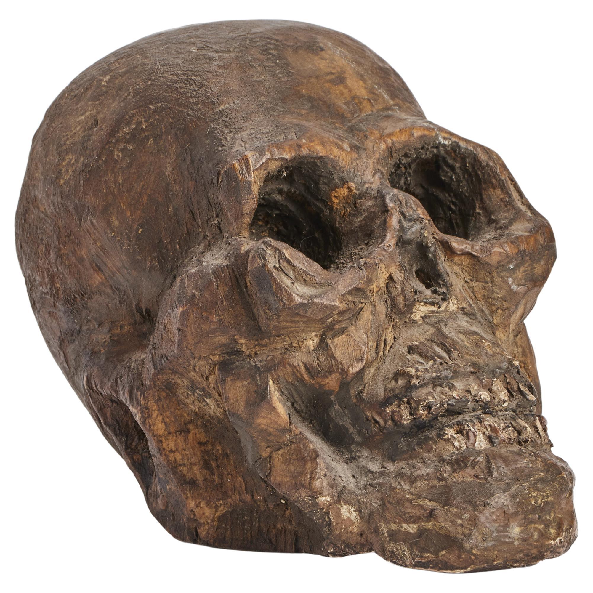 Memento mori-Skulptur, die einen Schädel darstellt, Italien 1700. im Angebot