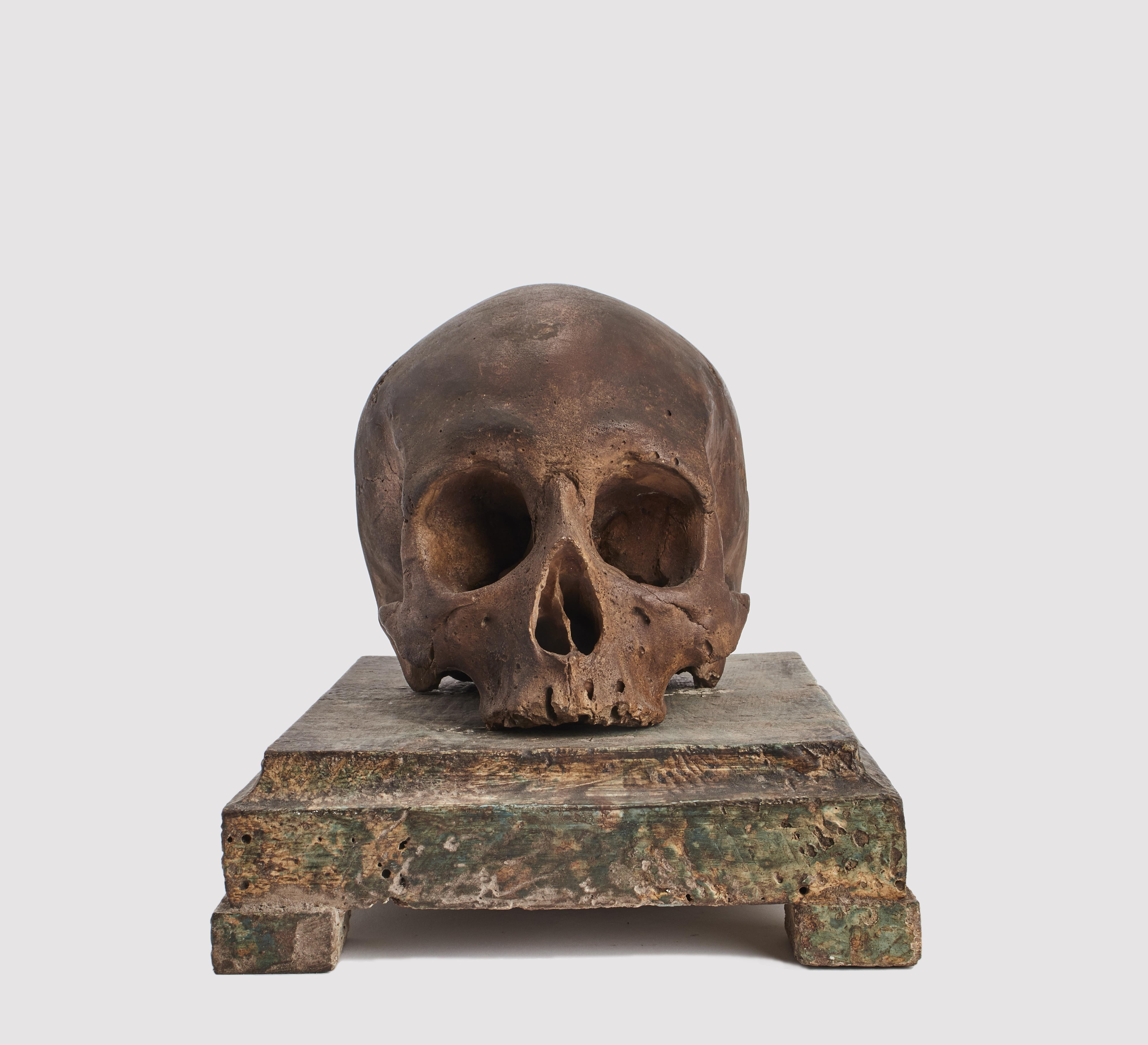 Italian Memento Mori Skull, Italy 1880