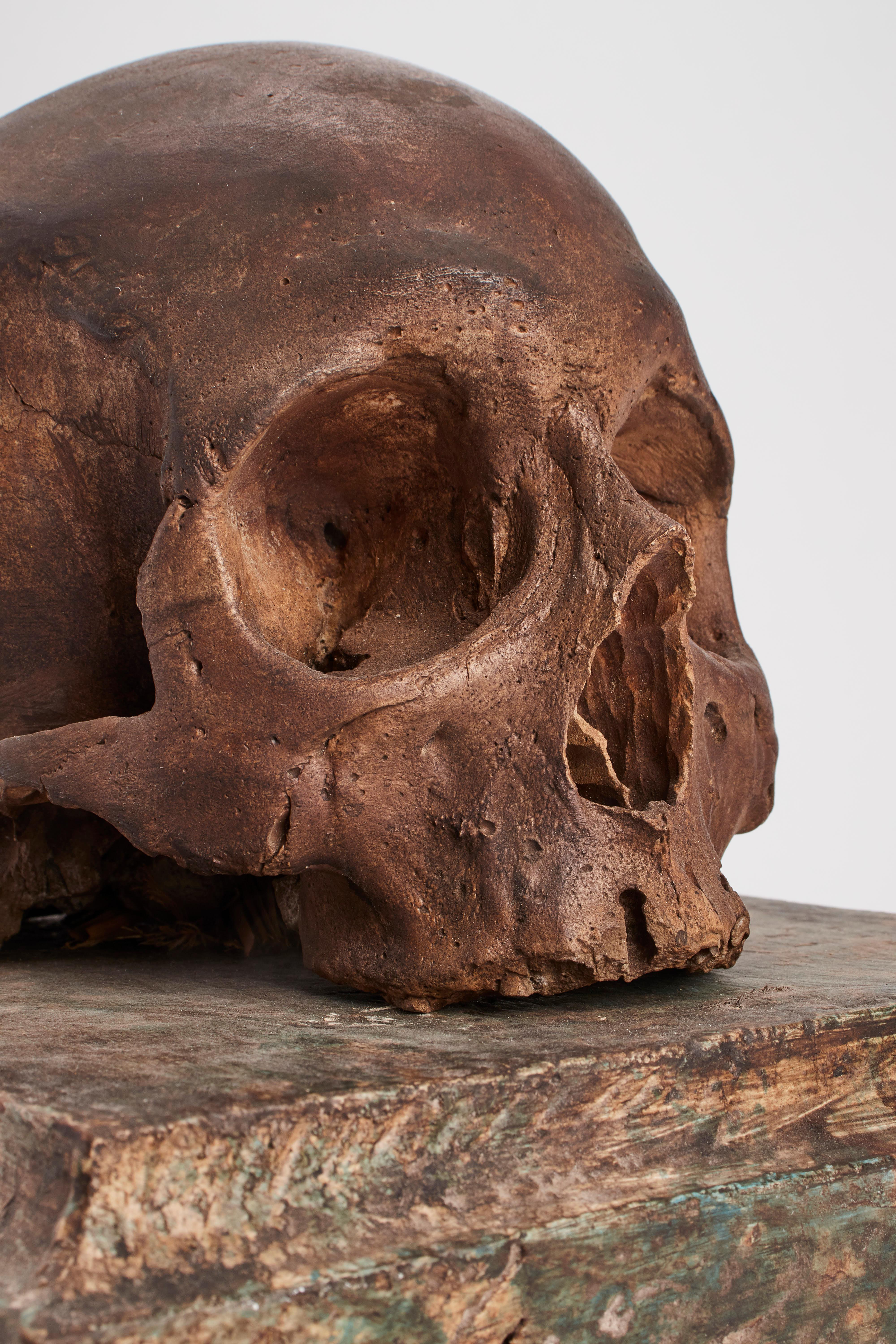 19th Century Memento Mori Skull, Italy 1880