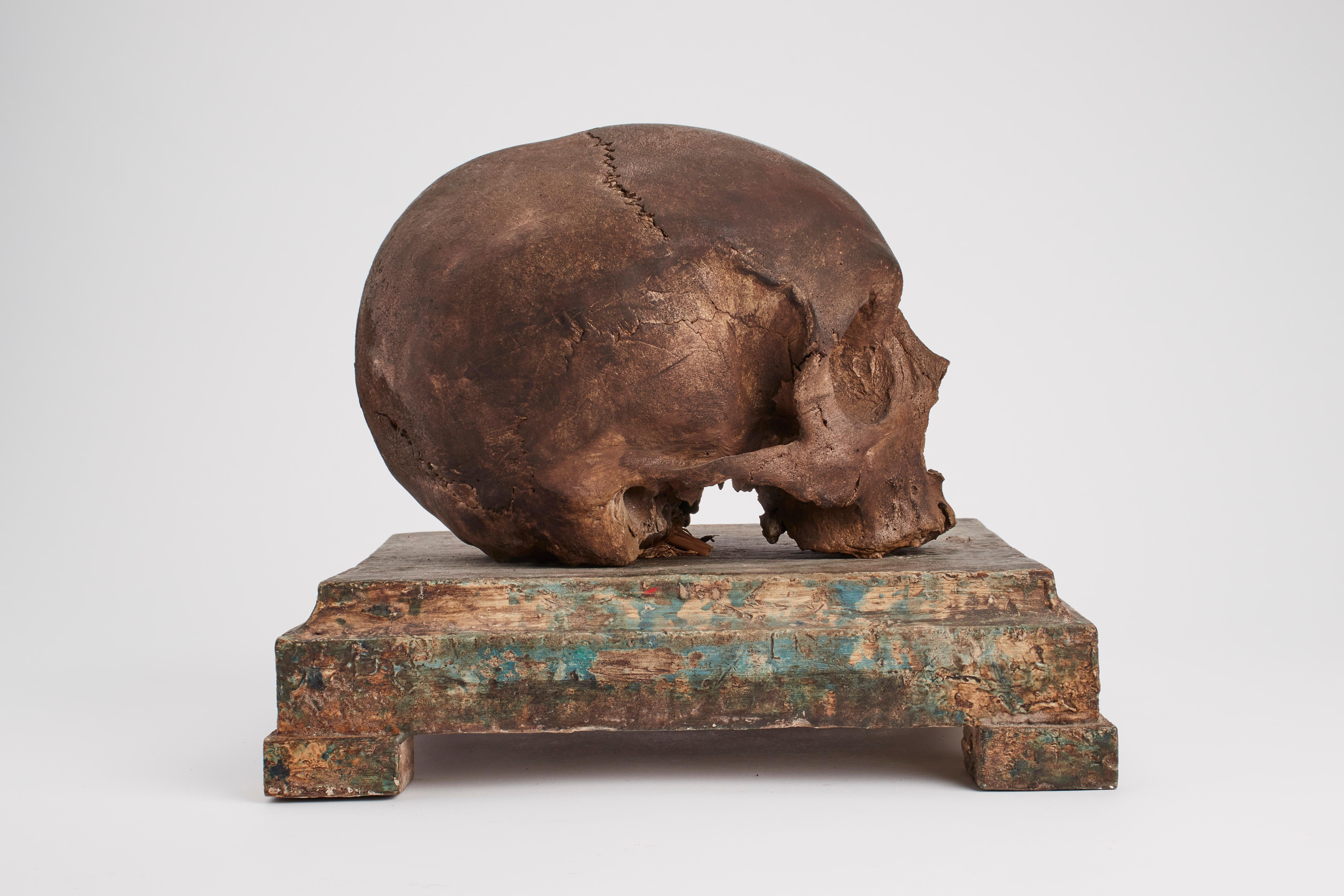 Plaster Memento Mori Skull, Italy 1880