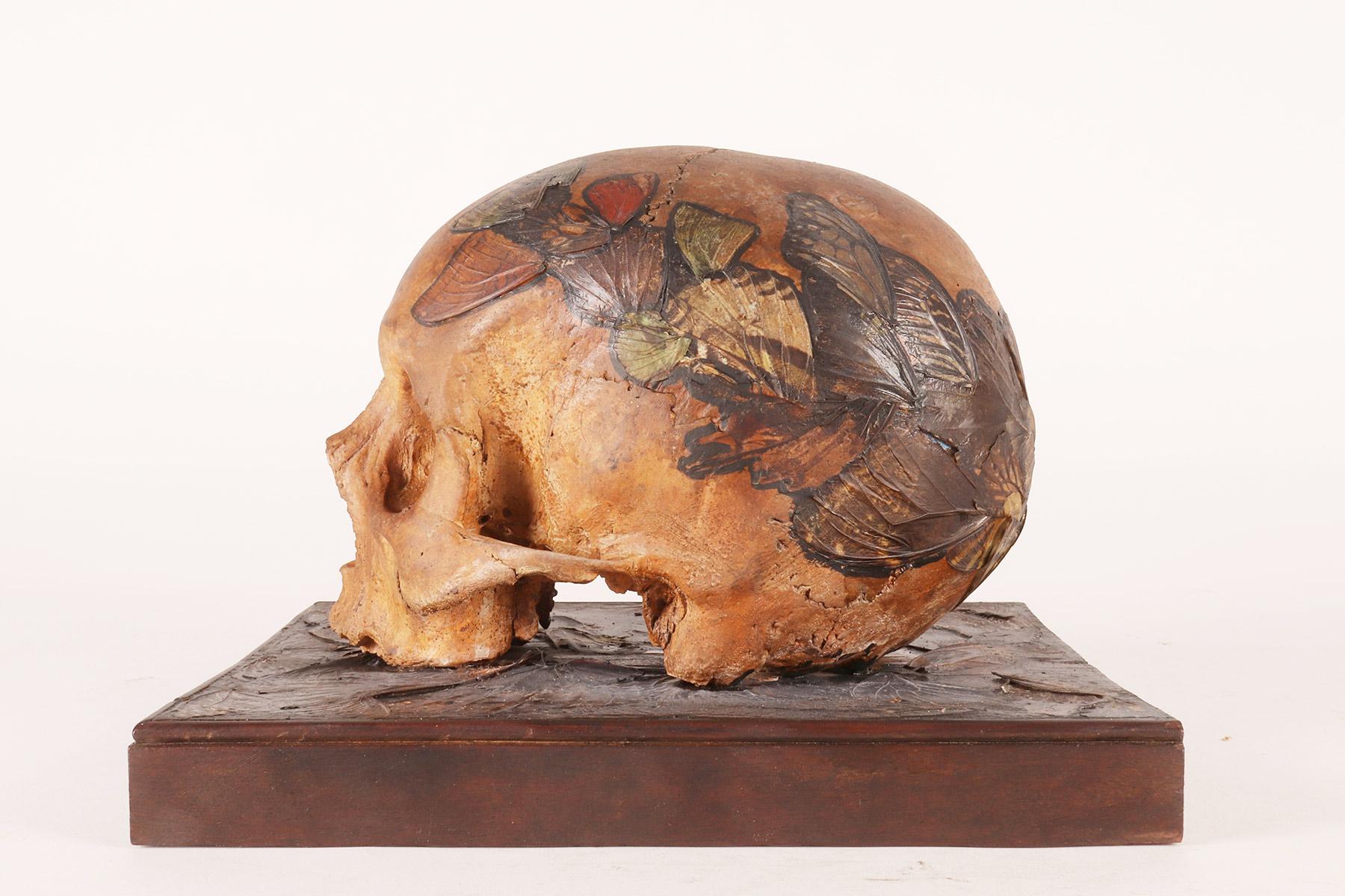 Memento mori, skull with butterfly wings, Germany 1874.  For Sale 7