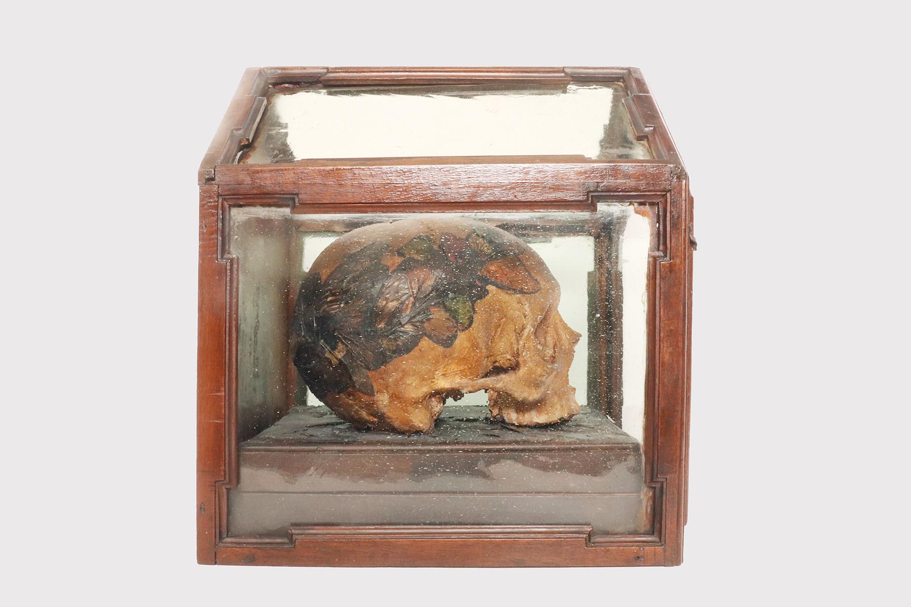 Memento mori, skull with butterfly wings, Germany 1874.  In Good Condition For Sale In Milan, IT