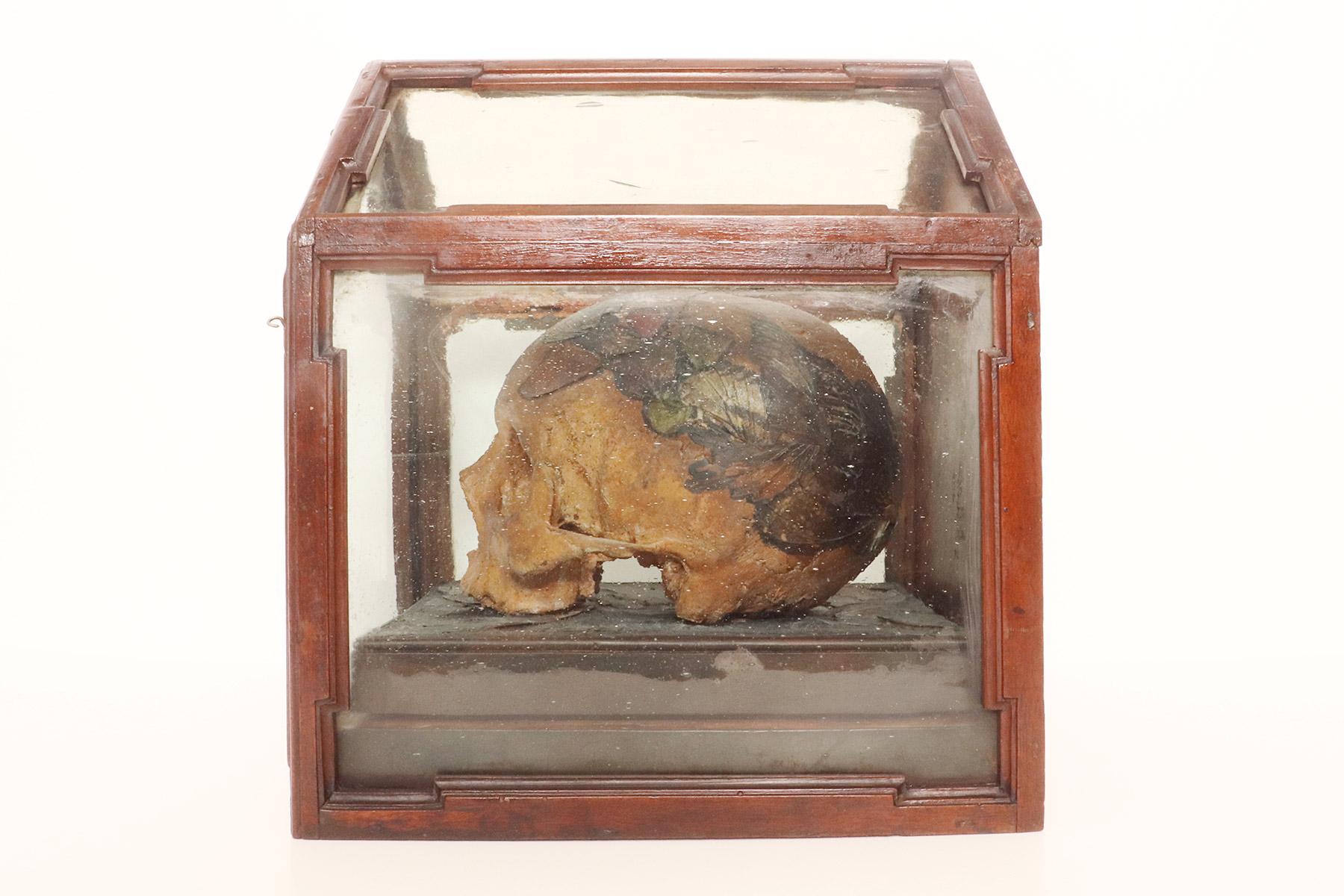 Memento mori, Schädel mit Schmetterlingsflügeln, Deutschland 1874.  (Spätes 19. Jahrhundert) im Angebot