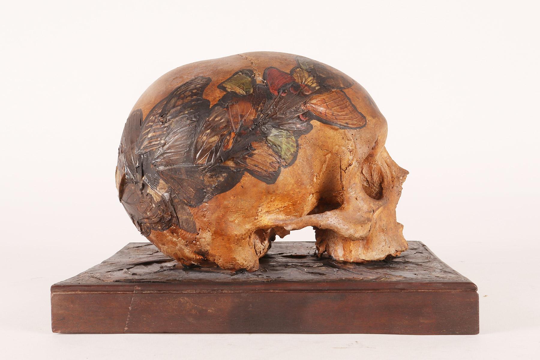 Memento mori, skull with butterfly wings, Germany 1874.  For Sale 4