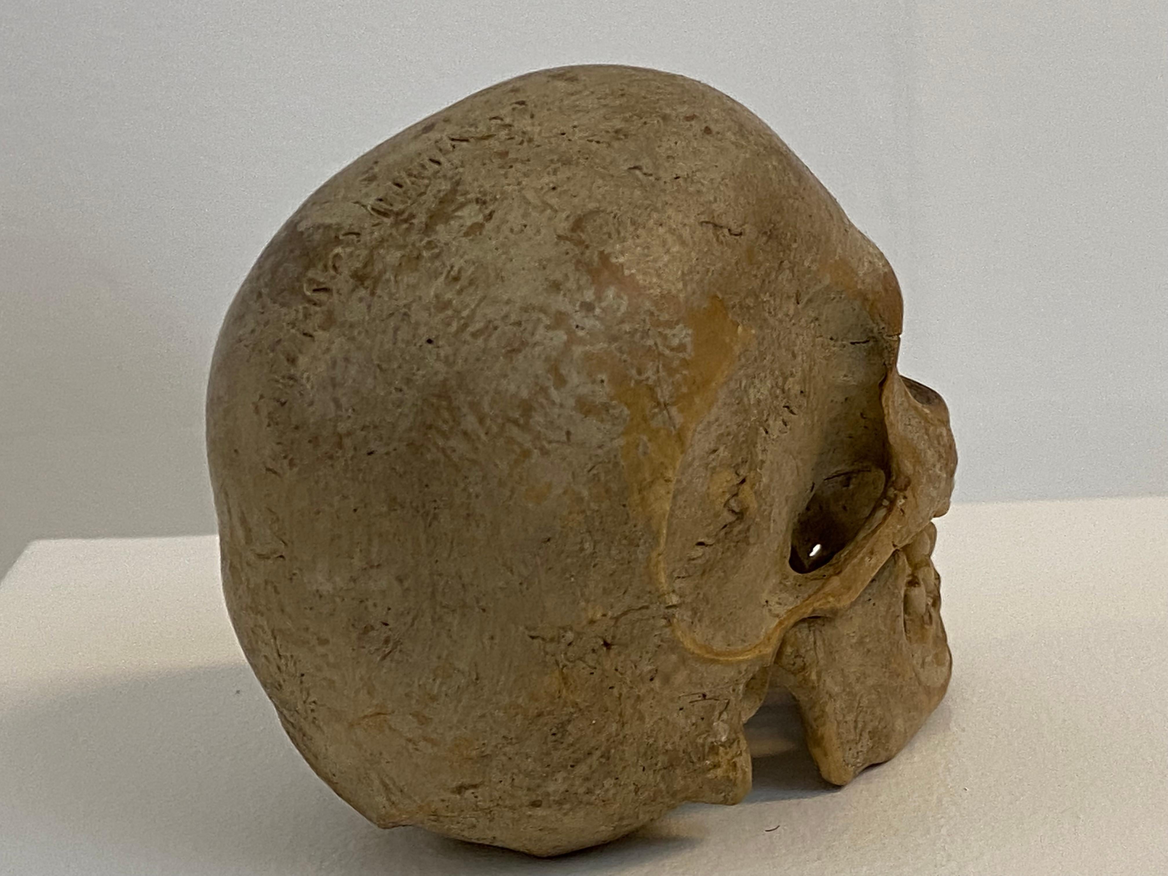 Autrichien Memento Mori, crâne en bois d'Autriche en vente