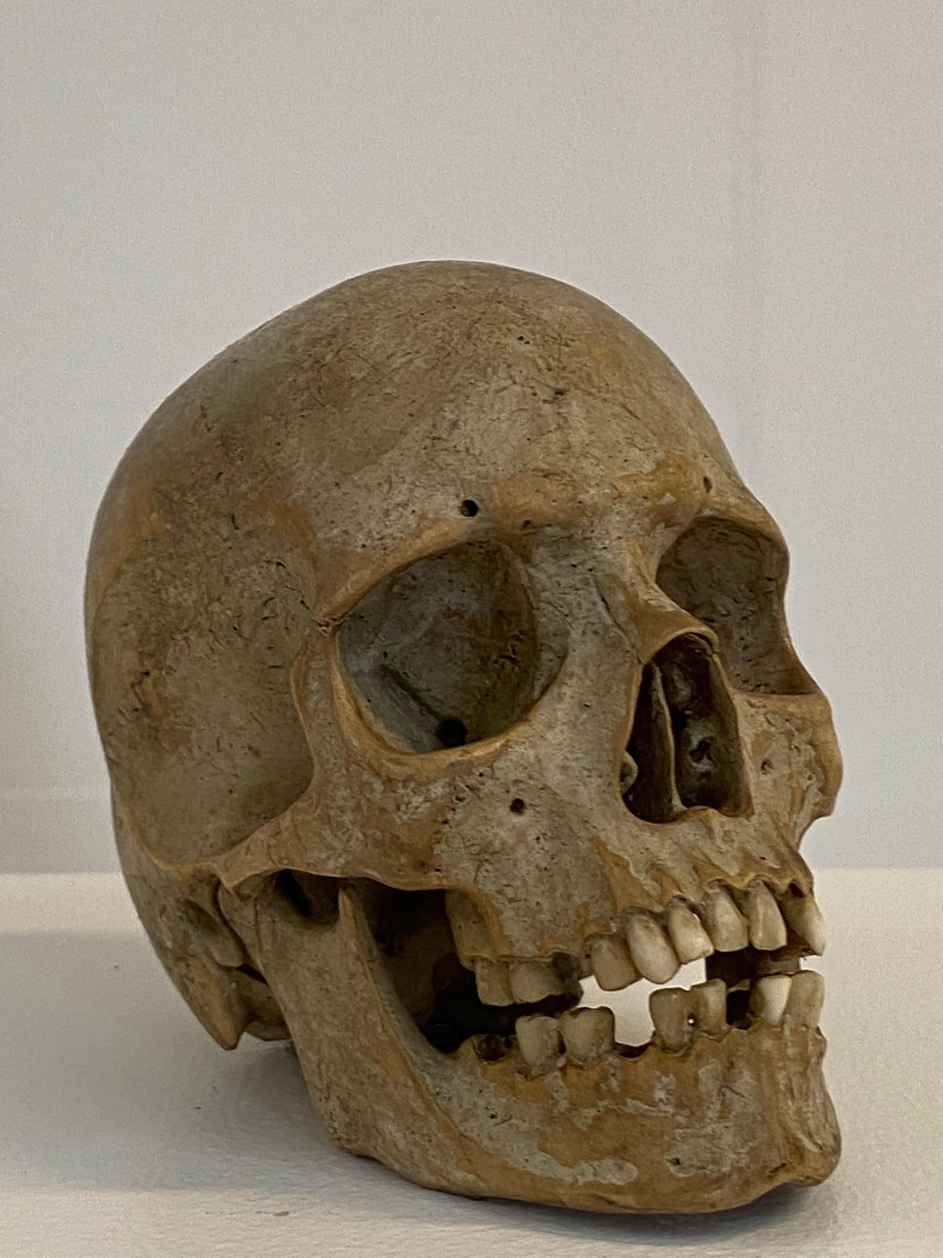 Austrian Memento Mori, Wooden Skull from Innsbruck, Austria For Sale