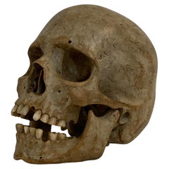 Memento Mori, Wooden Skull from Innsbruck, Austria