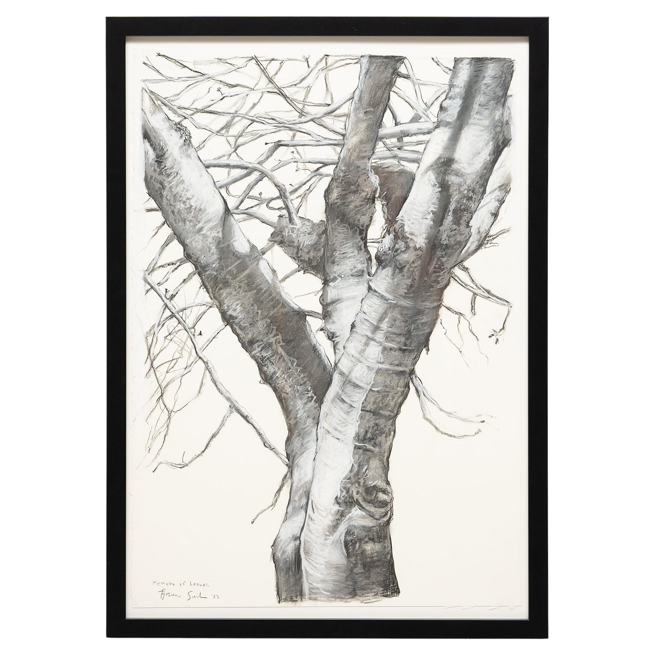 "Memory of Leaves, " Charcoal on Paper, 2022