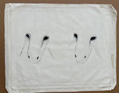 Two Sheep in white background